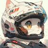 Avatar du membre