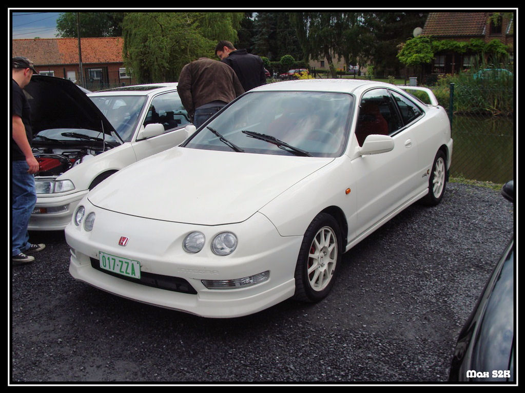 dsc04399gf.jpg